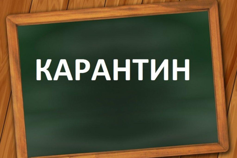 Карантин.